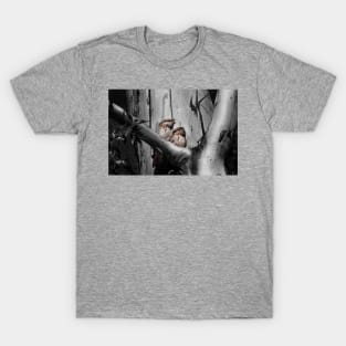 Tawny Frogmouth_6258A T-Shirt